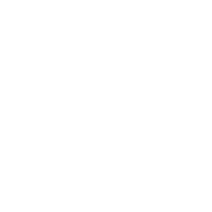VENEROSO